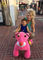 Hansel children motorized plush riding animals zippy pets sale المزود