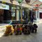 Hansel amusement park animal kiddie rides plush animal in shopping center المزود