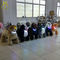 Hansel animal electric montable stuffed animal electric ride control box kiddie ride indoor amusement park rides المزود