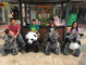 Hansel  kids playground games amusement park rides panda animal scooters for sale المزود